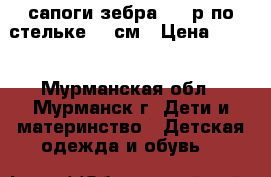 сапоги зебра  25 р по стельке 15 см › Цена ­ 450 - Мурманская обл., Мурманск г. Дети и материнство » Детская одежда и обувь   